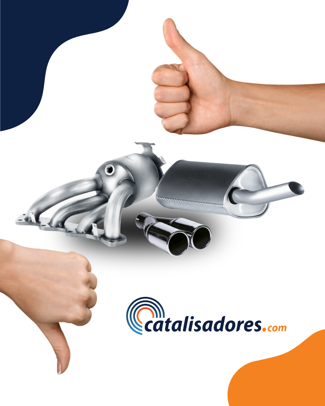 Mito ou verdade: Catalisadores
